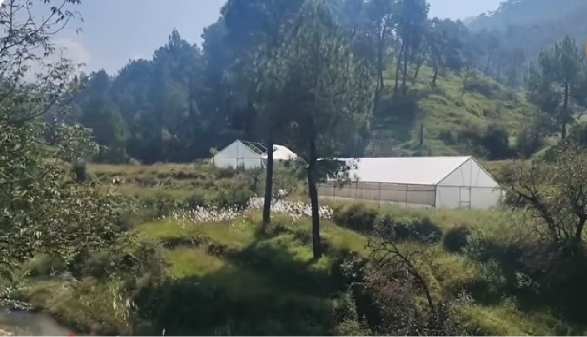 Sunil Bisht Brings Pearl Cultivation in almora